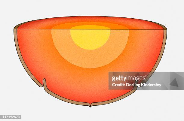 illustration of the earth's interior showing the core, mantle and crust - cores stock-grafiken, -clipart, -cartoons und -symbole
