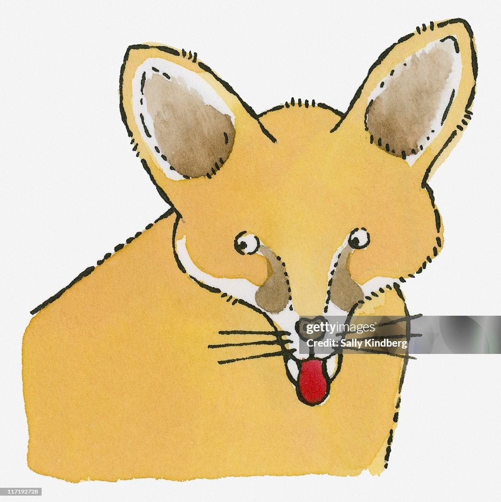 Illustration of Fennec Fox (Vulpes zerda) sticking red tongue out