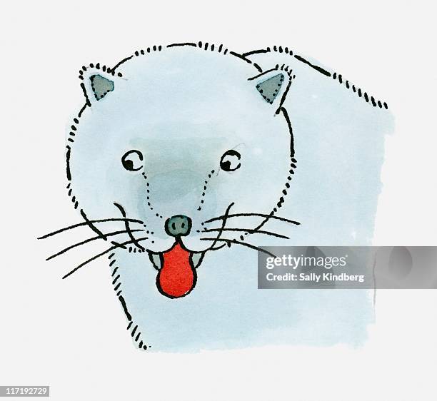 illustration of arctic fox (vulpes lagopus) sticking red tongue out - arctic fox stock illustrations