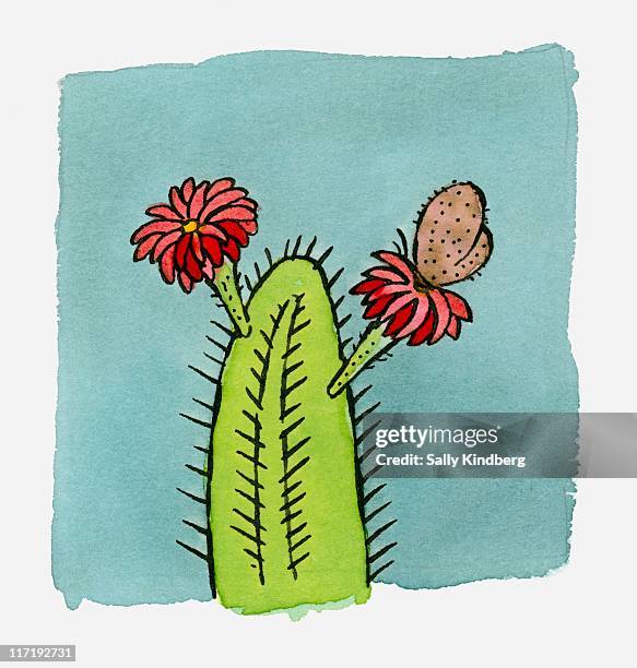Illustration Of Senita Whisker Cactus With Red Flowers High-Res Vector Graphic