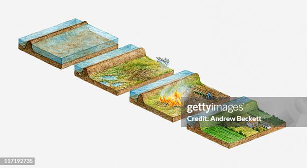 illustration of land being gradually reclaimed from the sea over a period of 8 years, netherlands - reclaimed land stock illustrations