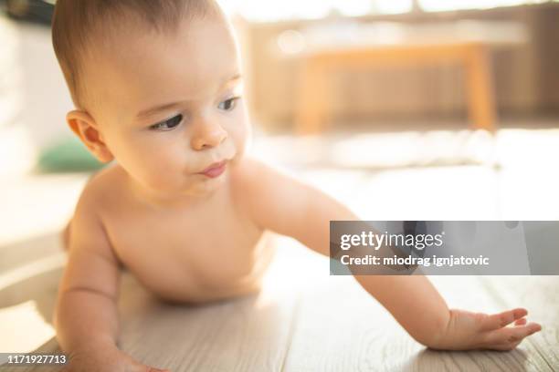 ready to start exploring - crawling stock pictures, royalty-free photos & images
