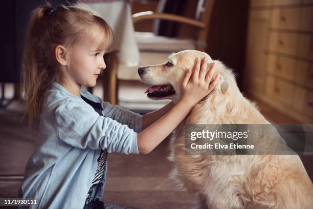 573 Long Haired Golden Retriever Photos and Premium High Res Pictures - Getty Images 573 Long Haired Golden Retriever Photos and Premium High Res Pictures - Getty Images
