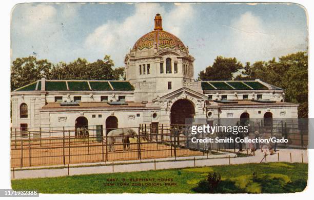 Illustrated postcard of tourists visiting the elephant house at the New York City Zoological Park, now known as the Bronx Zoo, New York City,...