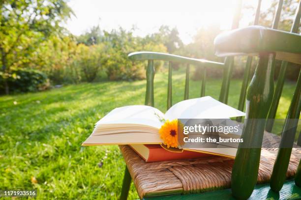 still life of an open book with a flower as bookmark on a chair in garden against sunlight - segnalibro foto e immagini stock