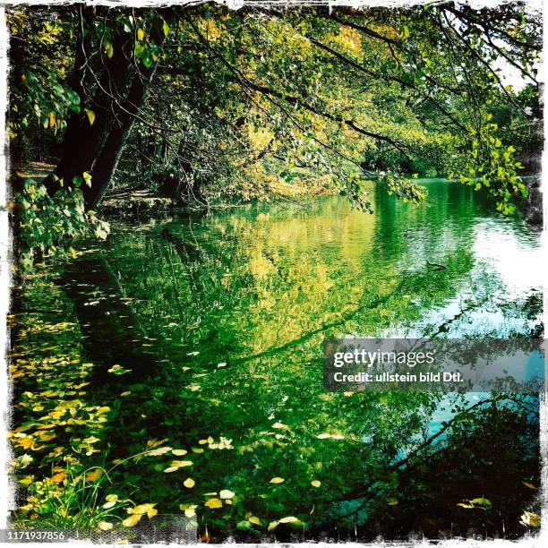 Auf der Wasseroberfläche liegende Blätter im Uferbereich am Schlachtensee in Zehlendorf, Berlin