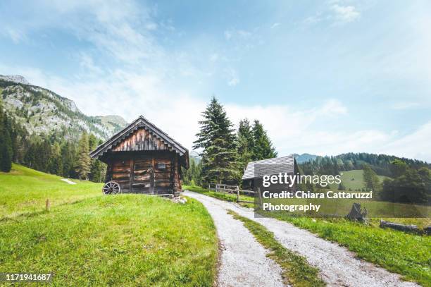 view of green dolomiti mountains - friuli foto e immagini stock