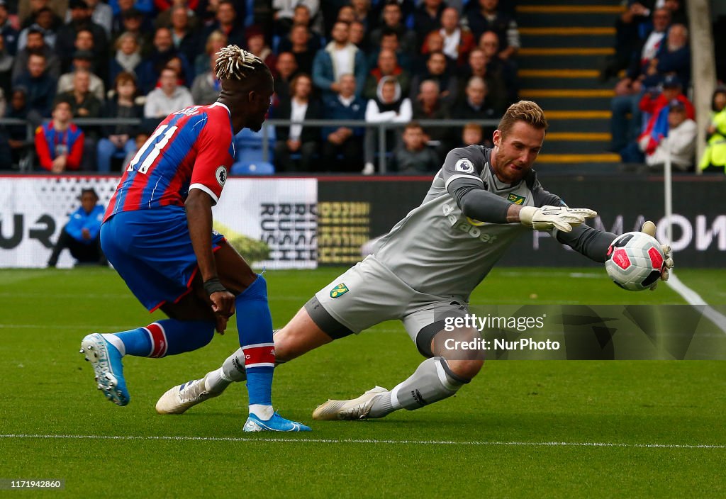 Crystal Palace v Norwich City - Premier League
