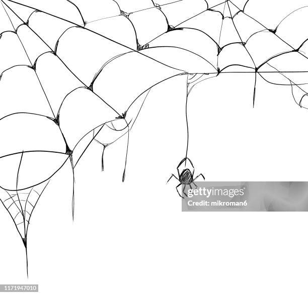 halloween illustration of spider web - spider web stock pictures, royalty-free photos & images