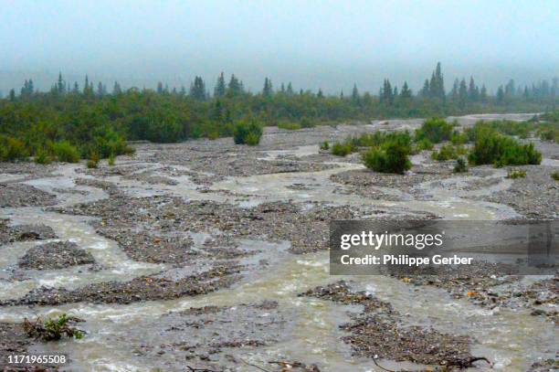 savage river, denali national park, alaska - denali national park alaska stock pictures, royalty-free photos & images