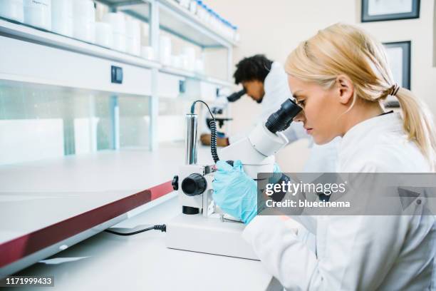 scientist using microscope in laboratory - fertility lab stock pictures, royalty-free photos & images