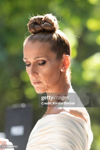 Singer Celine Dion wears an Alexandre Vauthier dress on July 02, 2019 in Paris, France.