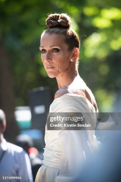 Singer Celine Dion wears an Alexandre Vauthier dress on July 02, 2019 in Paris, France.