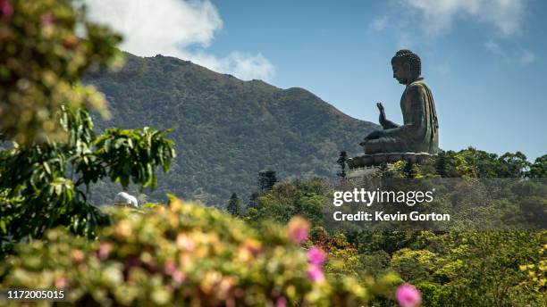 tian tan big buddha with forest - lantau stock pictures, royalty-free photos & images