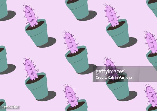 cactus in a pot seamless pattern - exhibitor icon stock illustrations