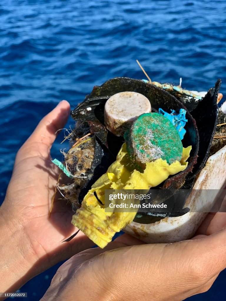 Close-up sea plastic