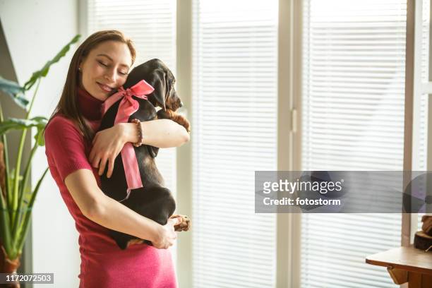 young woman cuddling her adorable doberman puppy - white doberman pinscher stock pictures, royalty-free photos & images