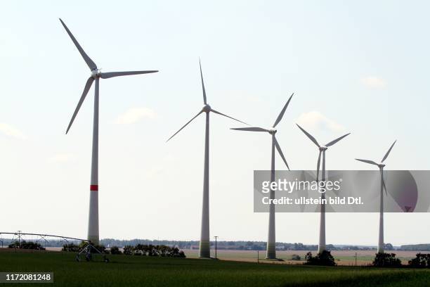 Feldheim bei Treuenbrietzen - Energieautarker Ortsteil - Dorf - Bürgermeister Michael Knape - Energie wird aus Wind und Biogas erzeugt - Windrad...