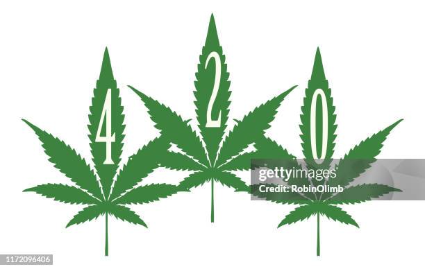 ilustrações de stock, clip art, desenhos animados e ícones de three 420 marijuana leaves - marijuana leaf text symbol