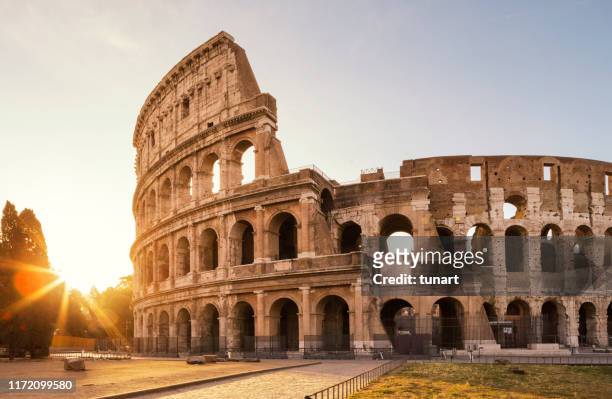 coliseo, roma, italia - coliseo romano fotografías e imágenes de stock
