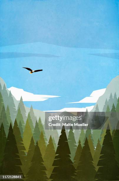 bald eagle flying over treetops - 森林点のイラスト素材／クリップアート素材／マンガ素材／アイコン素材