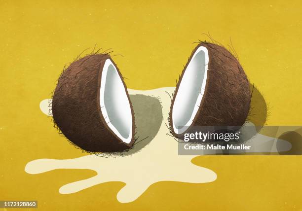 spilled coconut milk - coconut water stock illustrations