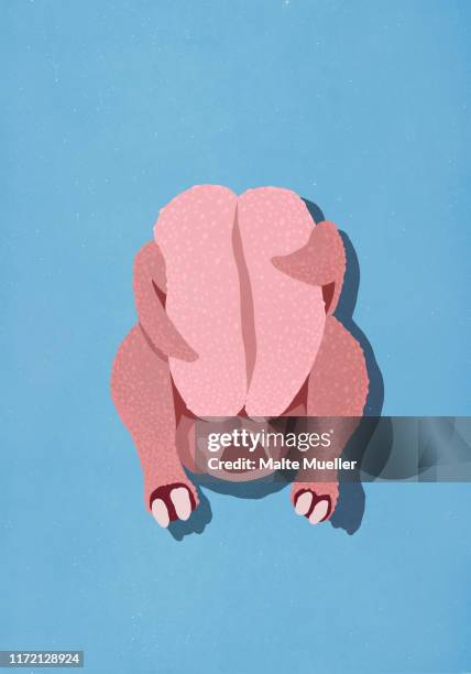 raw chicken on blue background - cooked chicken stock illustrations