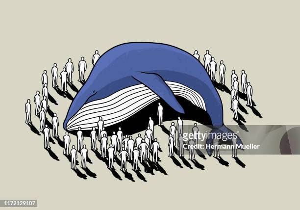 ilustrações de stock, clip art, desenhos animados e ícones de crowd surrounding beached whale - animal morto