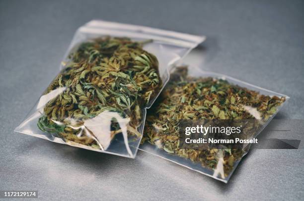 marijuana in small plastic bags - droga recreativa imagens e fotografias de stock