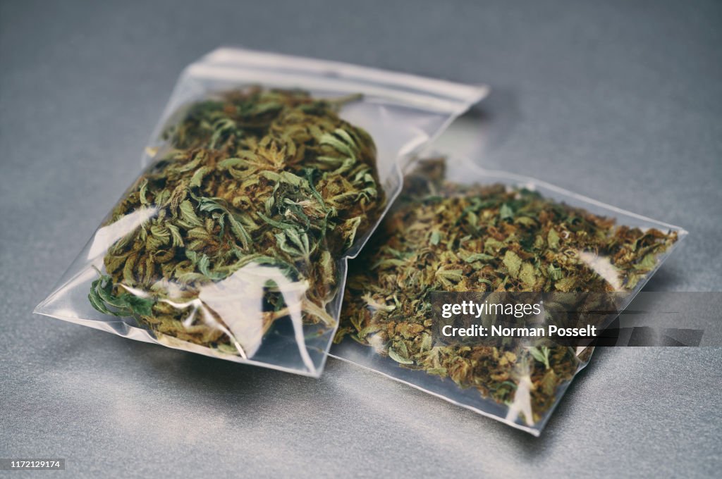 Marijuana in small plastic bags