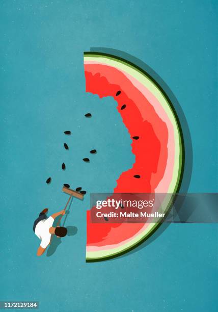 bildbanksillustrationer, clip art samt tecknat material och ikoner med man with broom sweeping seeds from large watermelon slice - watermelon