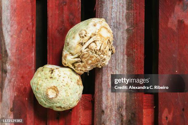 view from above organic celery root on red wooden slats - celeriac stockfoto's en -beelden