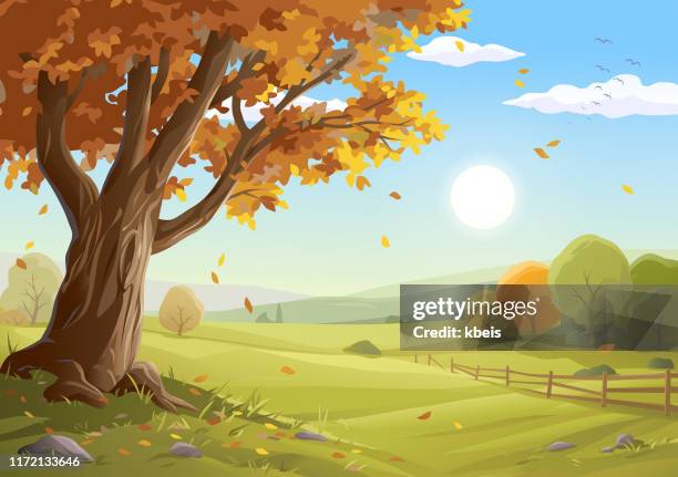 35 861 H st High Res Illustrations Getty Images 35-861-h-st-high-res-illustrations-getty-images