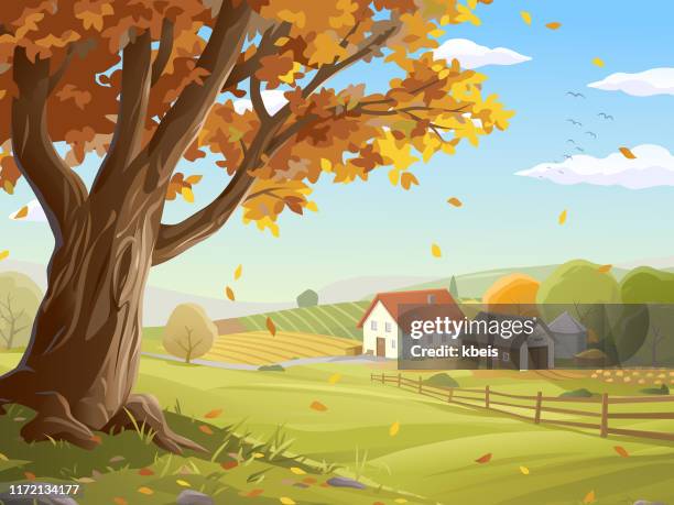 illustrazioni stock, clip art, cartoni animati e icone di tendenza di fattoria nel paesaggio autunnale - sky and trees green leaf illustration