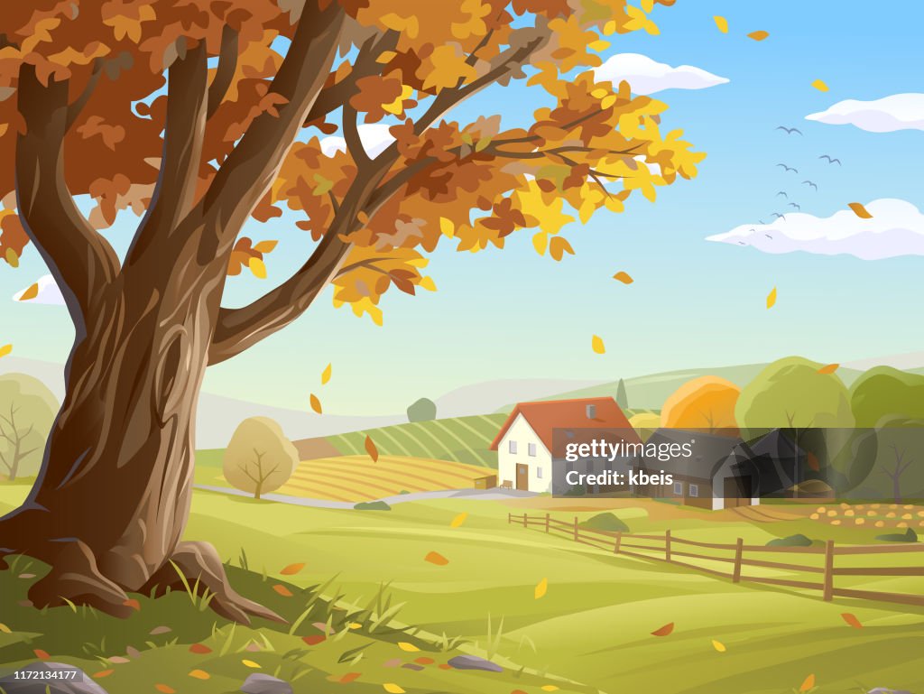 Farm In Autumn Landscape