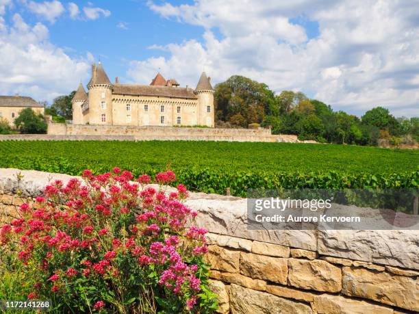 rully castle in burgundy, france - vignes bourgogne photos et images de collection