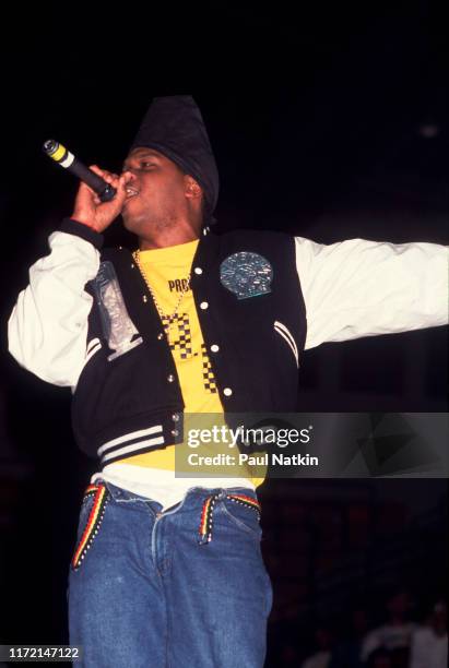 Luther Campbell of the group 2 Live Crew performing at the International Ampitheater in Chicago, Illinois, July 8, 1990.