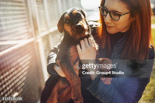Animal shelter Animal shelter