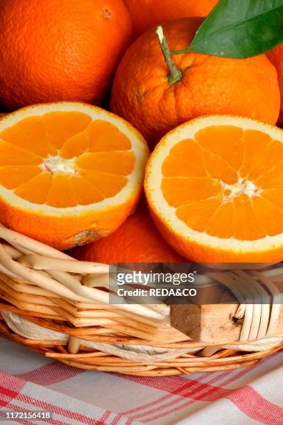 Citrus aurantium, sweet orange, arance.