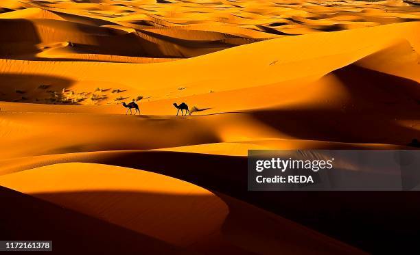 Saharian 54 Saharian Desert Stock Photos, High-Res Pictures, and Images - Getty ...