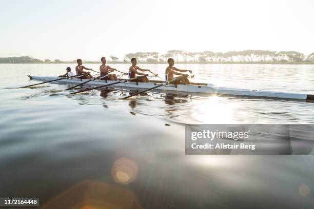 mixed race rowing team training on a lake at dawn - crew rowing stock pictures, royalty-free photos & images