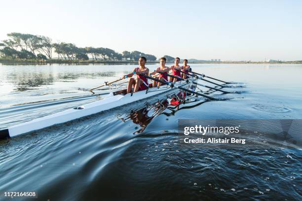 mixed race rowing team training on a lake at dawn - wrikken roeisport stockfoto's en -beelden