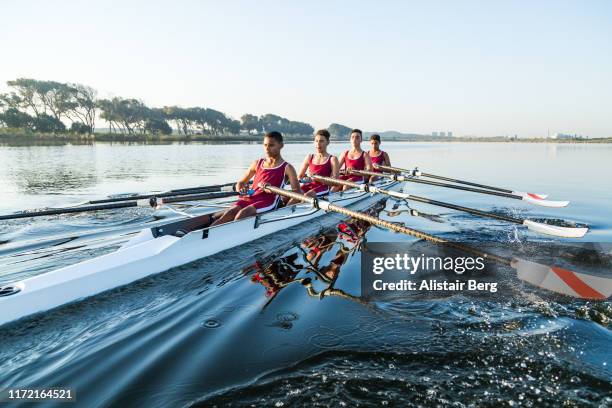 mixed race rowing team training on a lake at dawn - mixed race stock-fotos und bilder