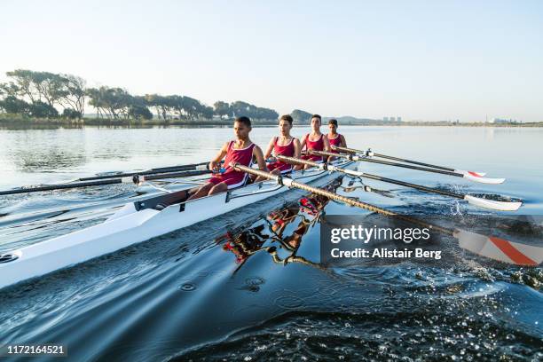 mixed race rowing team training on a lake at dawn - coordinated effort stock pictures, royalty-free photos & images