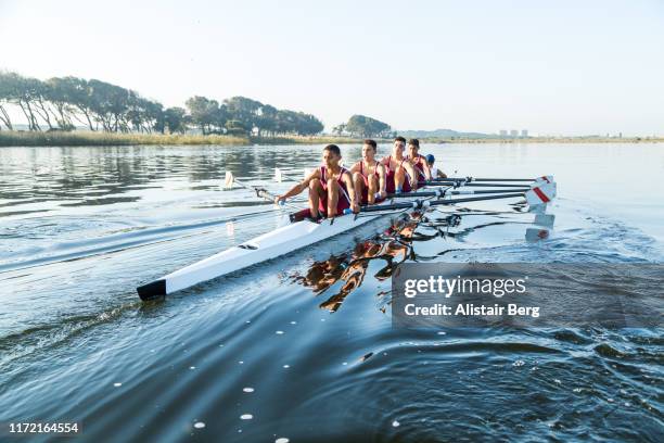 mixed race rowing team training on a lake at dawn - crew rowing stock pictures, royalty-free photos & images