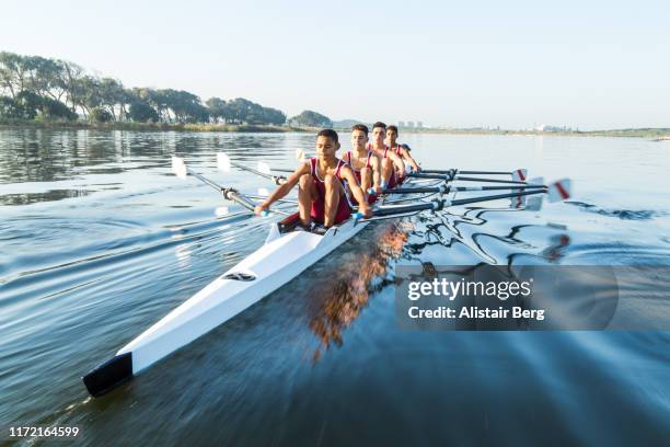 mixed race rowing team training on a lake at dawn - rowing foto e immagini stock