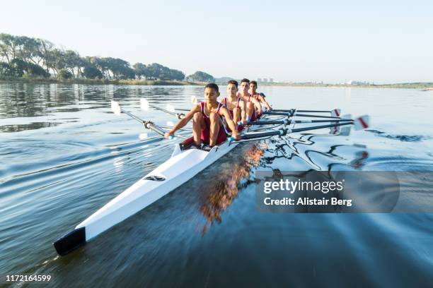 mixed race rowing team training on a lake at dawn - sports training bildbanksfoton och bilder
