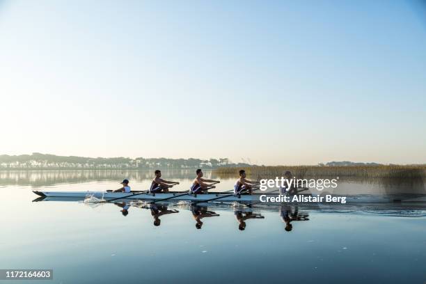 mixed race teenage rowing team training on a lake at dawn - rennrudern stock-fotos und bilder