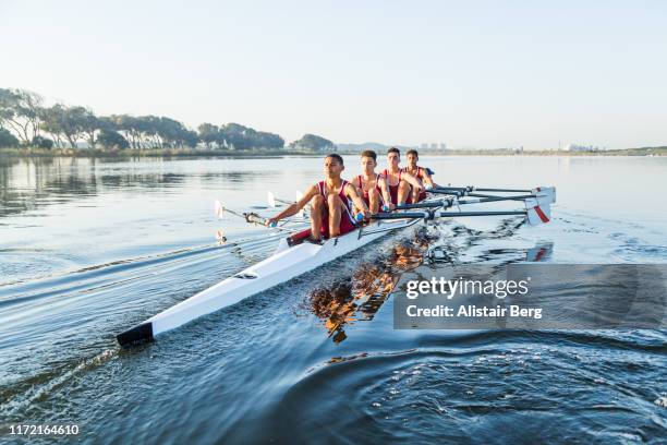 mixed race rowing team training on a lake at dawn - mixed race man stock-fotos und bilder