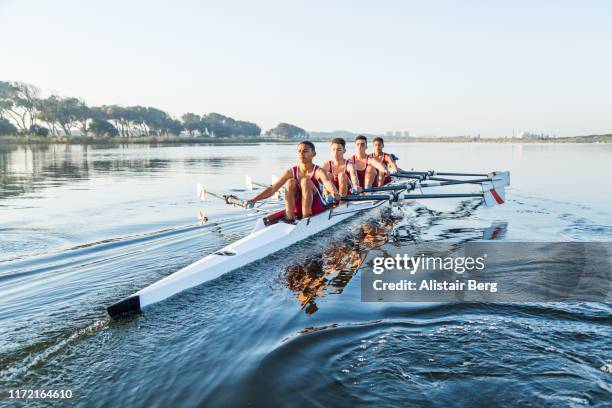 mixed race rowing team training on a lake at dawn - rowing foto e immagini stock